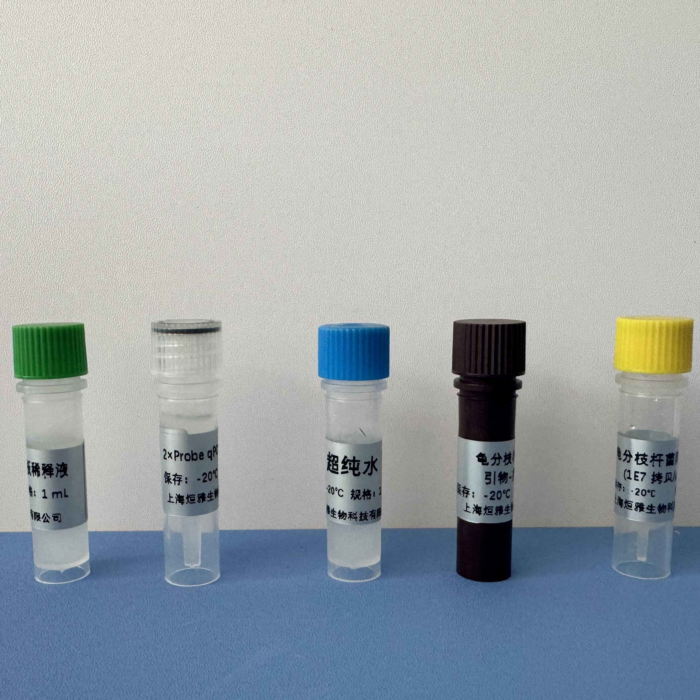 荧光PCR检测试剂盒能够实现对目标序列的精确定量分析