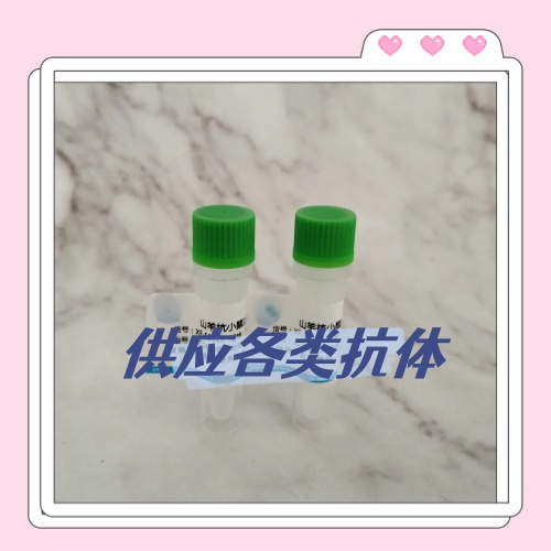 СҸα濹ԭ Ũ