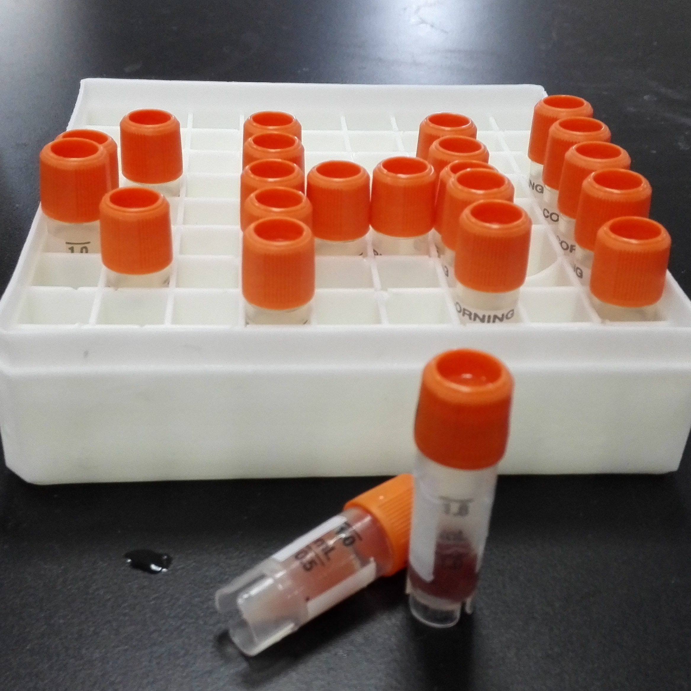 大鼠肝微粒體在多個行業中發揮著關鍵作用