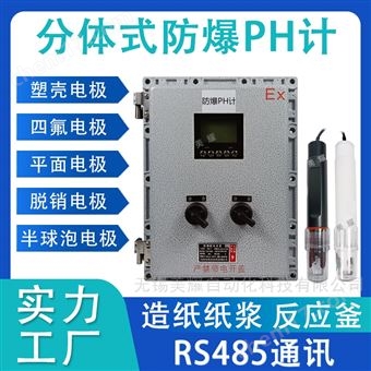 一體式分體式防爆PH計污水純水在線PH檢測儀