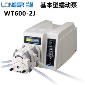 不锈钢蠕动泵WT600-3J  LongerPump/兰格