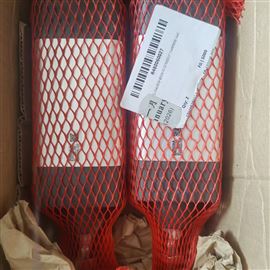 R480060027安沃驰气缸