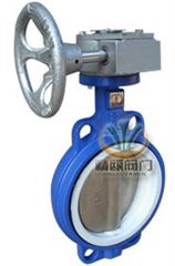 D71F对夹式四氟密封蝶阀