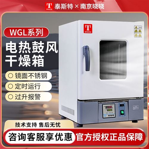 天津泰斯特電熱恒溫鼓風(fēng)干燥機(jī)