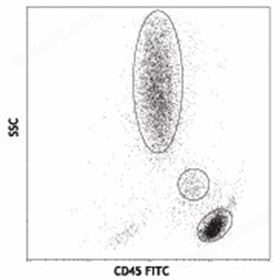 BioLegend 304038 人 CD45 抗體現貨供應