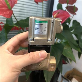 SABIS-15A-C中村代理：CKD喜开理气控型 2 通气缸阀