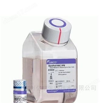 A1067501MSC SFM 无血清培养基（500mL+5mL）1kit/套