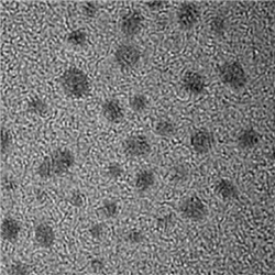 AuNCs，Gold Nanoclusters，金納米簇