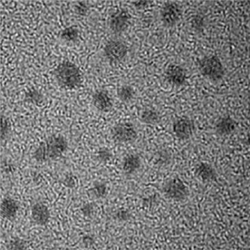 AuNCs，Gold Nanoclusters，金納米簇