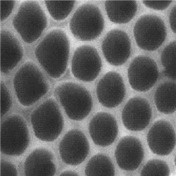 介孔二氧化钛纳米颗粒