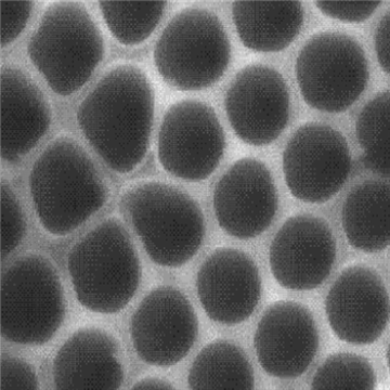 介孔二氧化钛纳米颗粒