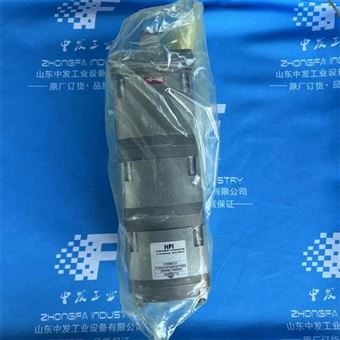全系列HPI C5089545  P1BAN2008BL10B02N 齿轮泵