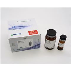 L00884Western rapid kit