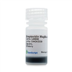 L00936Streptavidin MagBeads