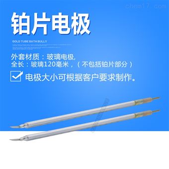 PT213铂片电极-玻璃