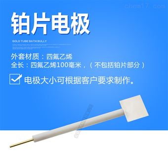 PT213~PT262铂片电极