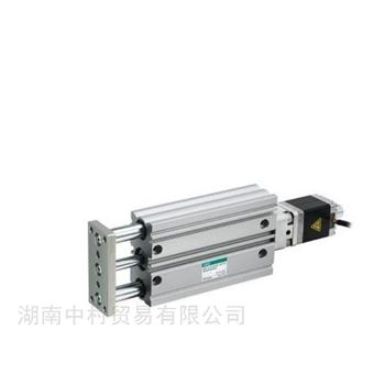 DSTS-20日本CKD半導(dǎo)體電動(dòng)執(zhí)行器帶導(dǎo)桿型DSTS