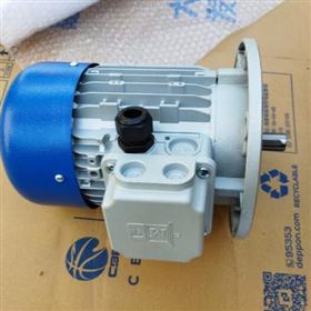 意大利M.T. Motori雙速電機DN防護等級IP55