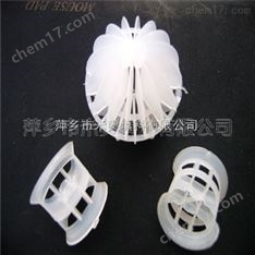 塑料共軛環(huán)廠家 供應(yīng)PP共軛環(huán) pvdf共軛環(huán)填料