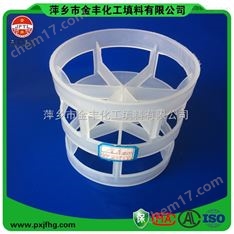* 100MM PE/PP/RPP/PVC/CPVC/PVDF 塑料填料鮑爾環(huán)