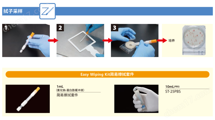 54054微生物快速測試片—霉菌與酵母