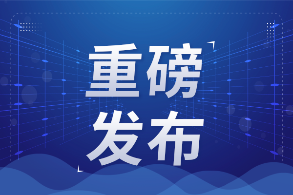 世界首項(xiàng)鋰離子電池硅基負(fù)極材料國際標(biāo)準(zhǔn)發(fā)布