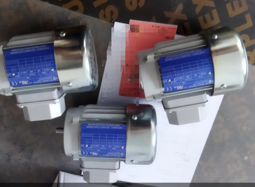 意大利MT Motori TN系列電機工作原理