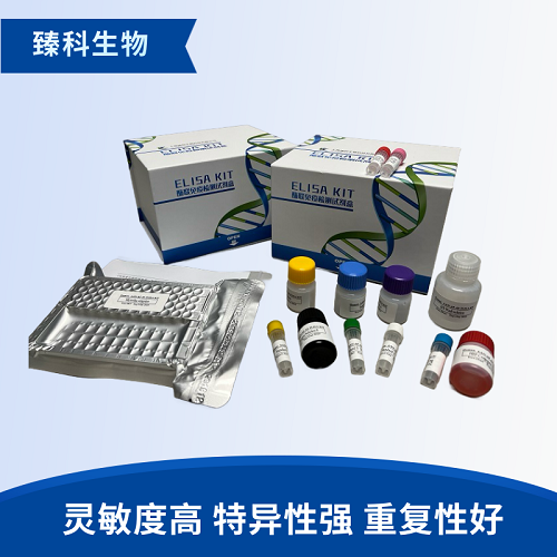 人α突觸核蛋白(α-SYN）酶聯(lián)免疫試劑盒使用說明書