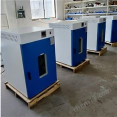 立式DHG-9925A電熱恒溫鼓風干燥箱、 烘箱
