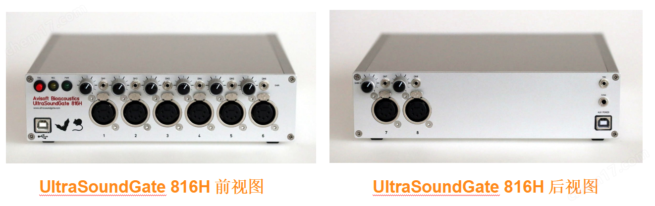 八通道動物超聲聲音聲譜錄制系統(tǒng)