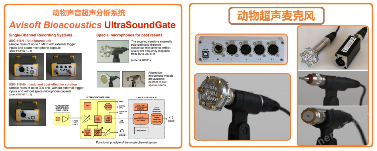 動(dòng)物超聲聲音播放器