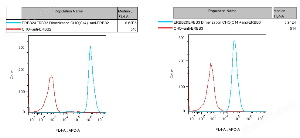 ERBB2&ERBB3 Dimerization CHO
