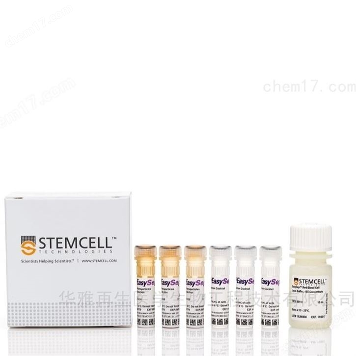 人白膜層高純度NK細(xì)胞分離CD56正選磁珠