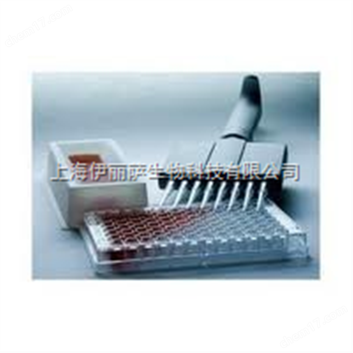 大鼠NAGE（Rat N-Acetyl-Beta-D-Glucosaminidase NAG ELISA Kit）ELISA試劑盒