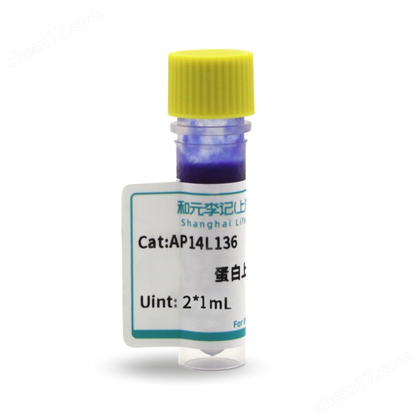 蛋白上樣緩沖液（5X，無(wú)氣味）