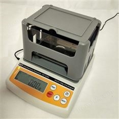 南通電子密度計DST-E300