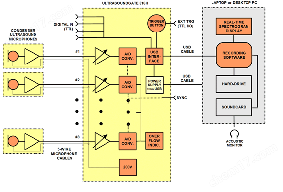 八通道動物超聲聲音聲譜錄制系統(tǒng)