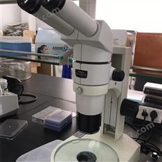 Nikon尼康體視顯微鏡SMZ800N