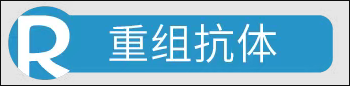 重組抗體.png