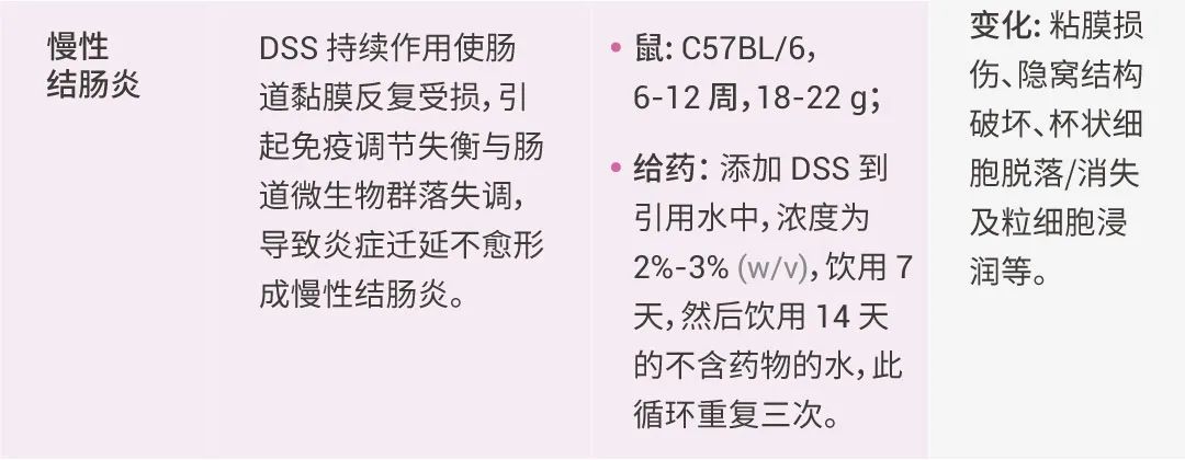 干貨分享 | DSS 誘導(dǎo)結(jié)腸炎: 不同分子量差異有哪些？選對才能造好模！