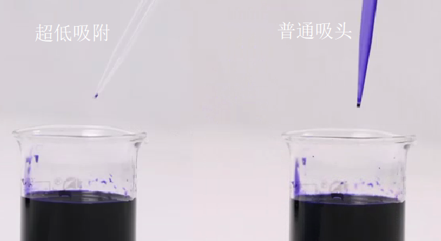 QQ8.png