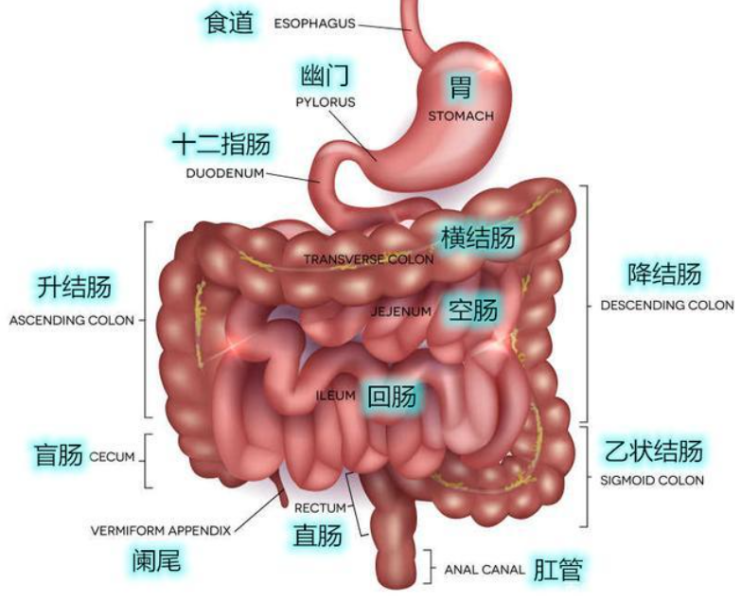 圖片2.png