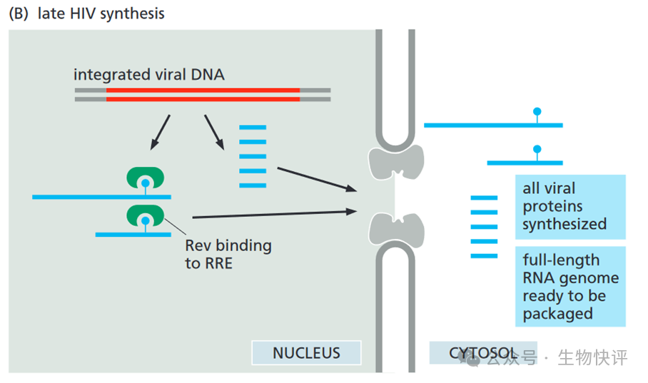 圖示 描述已自動生成