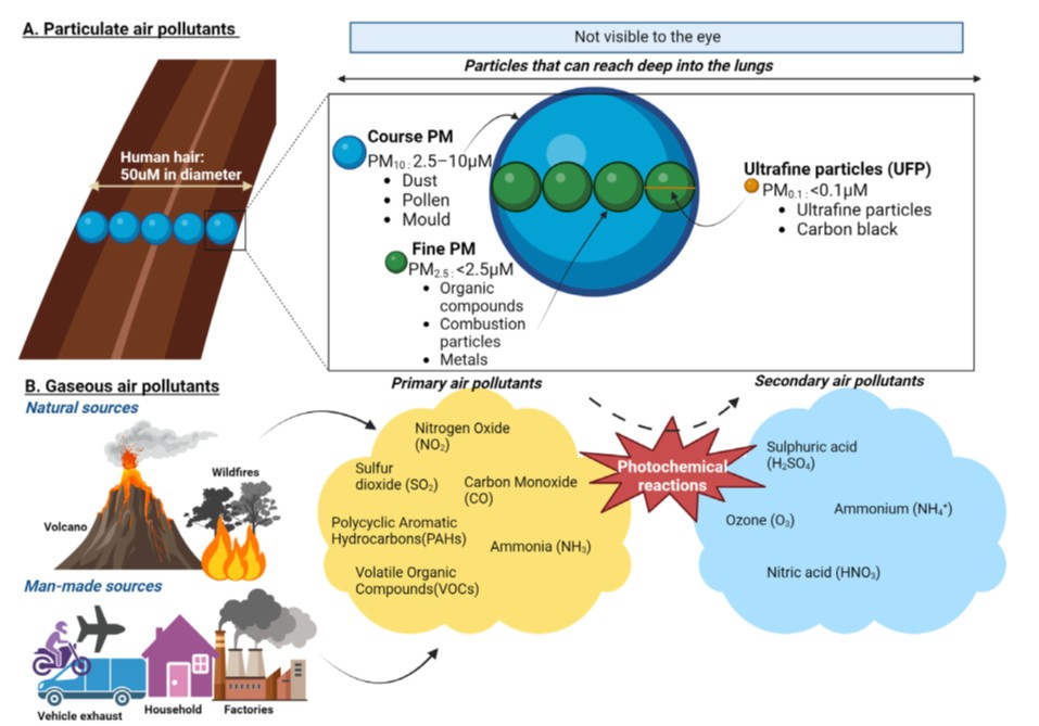 阿爾茨海默病發(fā)病機(jī)制3-1.jpg 阿爾茨海默病發(fā)病機(jī)制3-1.jpg