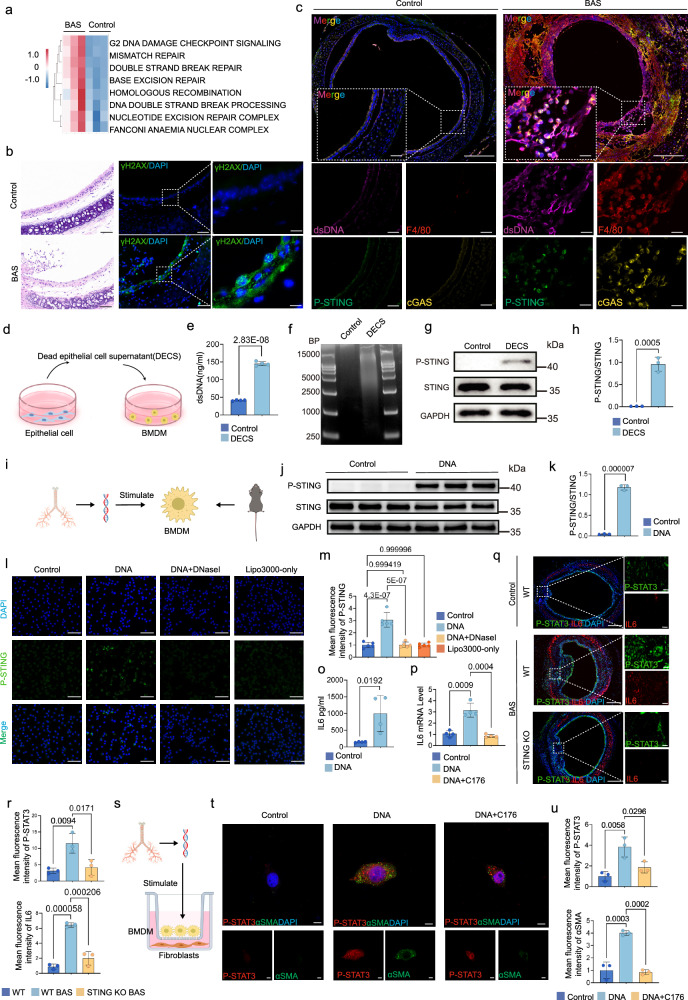 6389656462144067246118271