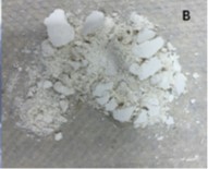 圖片4.jpg 圖片4.jpg