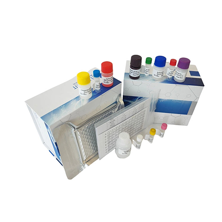 5.jpg 上海研域十一月小鼠试剂盒活动进行中