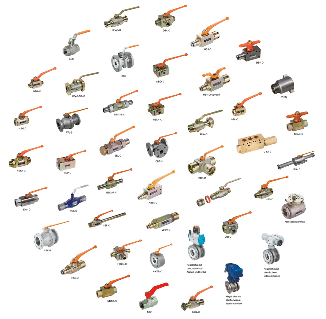 von Scheven.jpg von Scheven.jpg