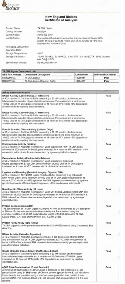 NEB DNA連接酶 -重組T4 DNA連接酶、T4快速連接酶、T7 DNA連接酶