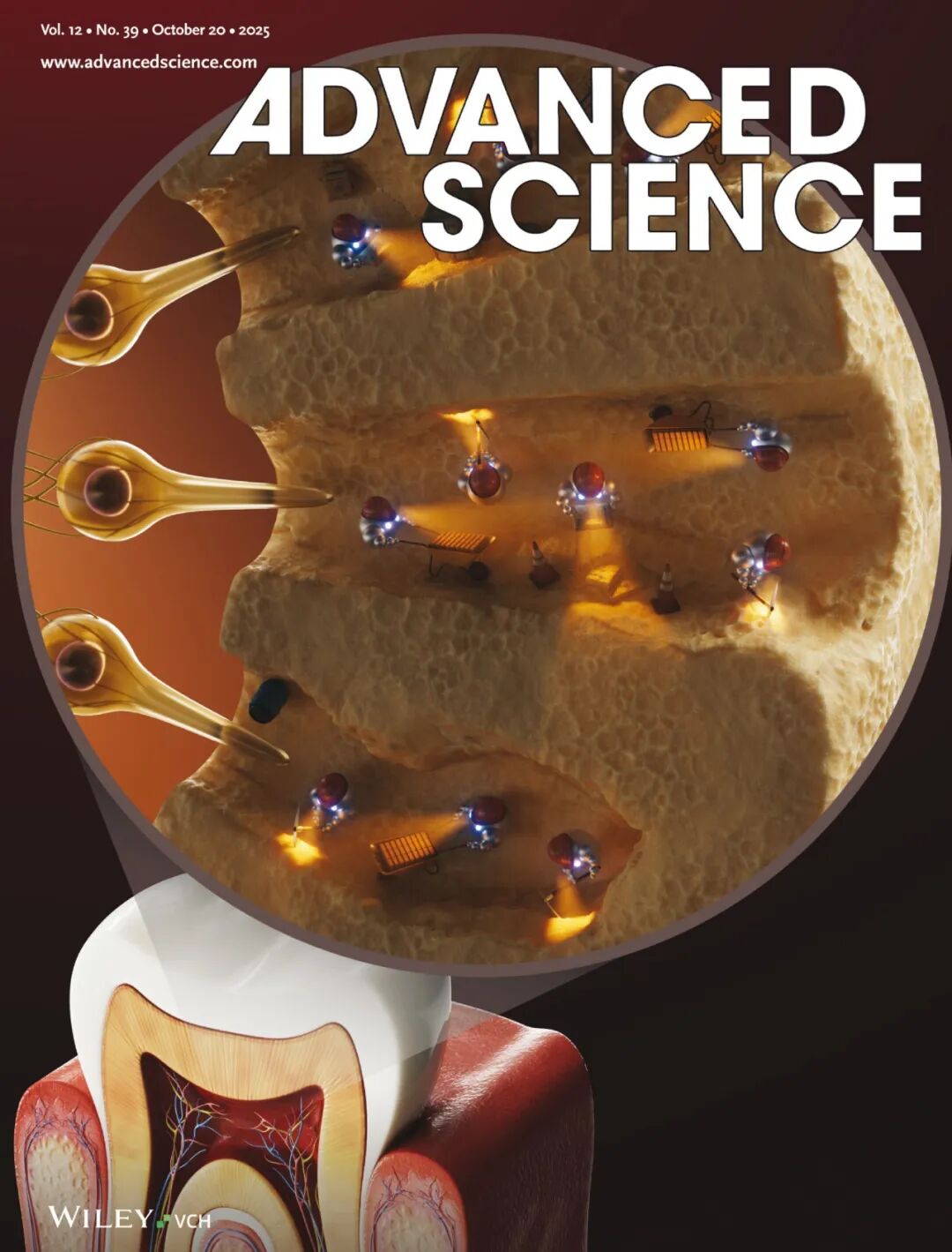 細(xì)胞凍存液選擇指南